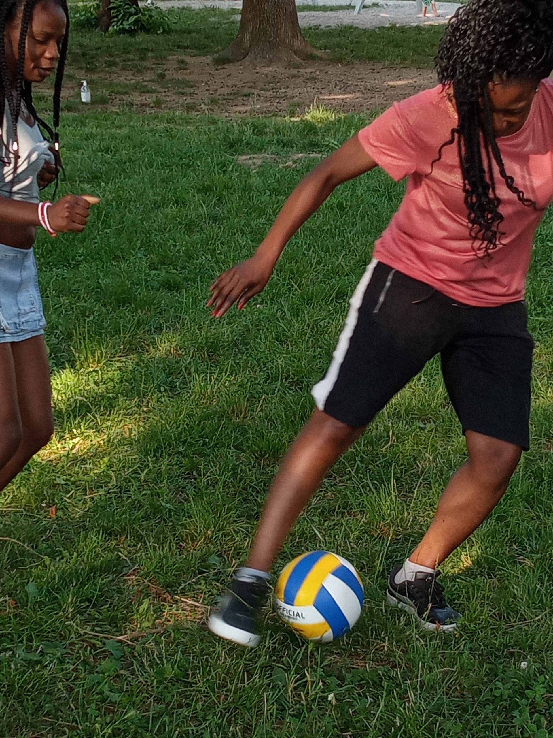 INSPIRES: Activities run by GEA in Italy